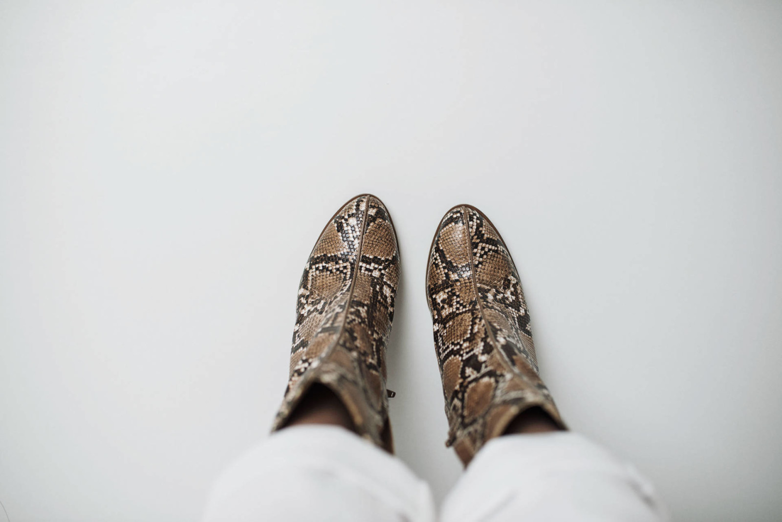 Mango Snakeskin boots