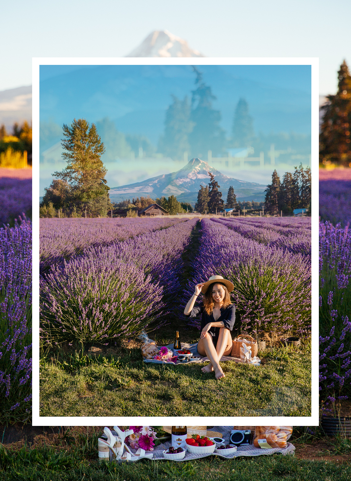 What Happened When I Didn't Post on Instagram or social media for months | LE-JOLIE.COM | Lavender Fields Oregon, Picnic in the Lavender Fields